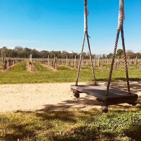 Chateau Beaulieu De Cleo Region Saint Emilion 2*